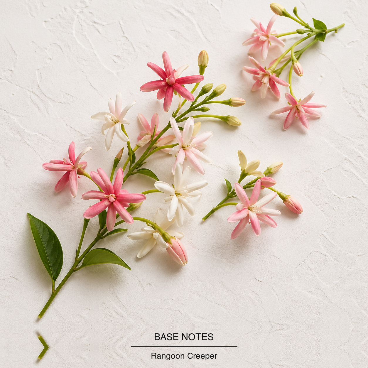 Gucci Bloom Eau de Parfum base-notes