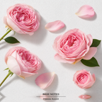 Flowerbomb Eau de Parfum base-notes