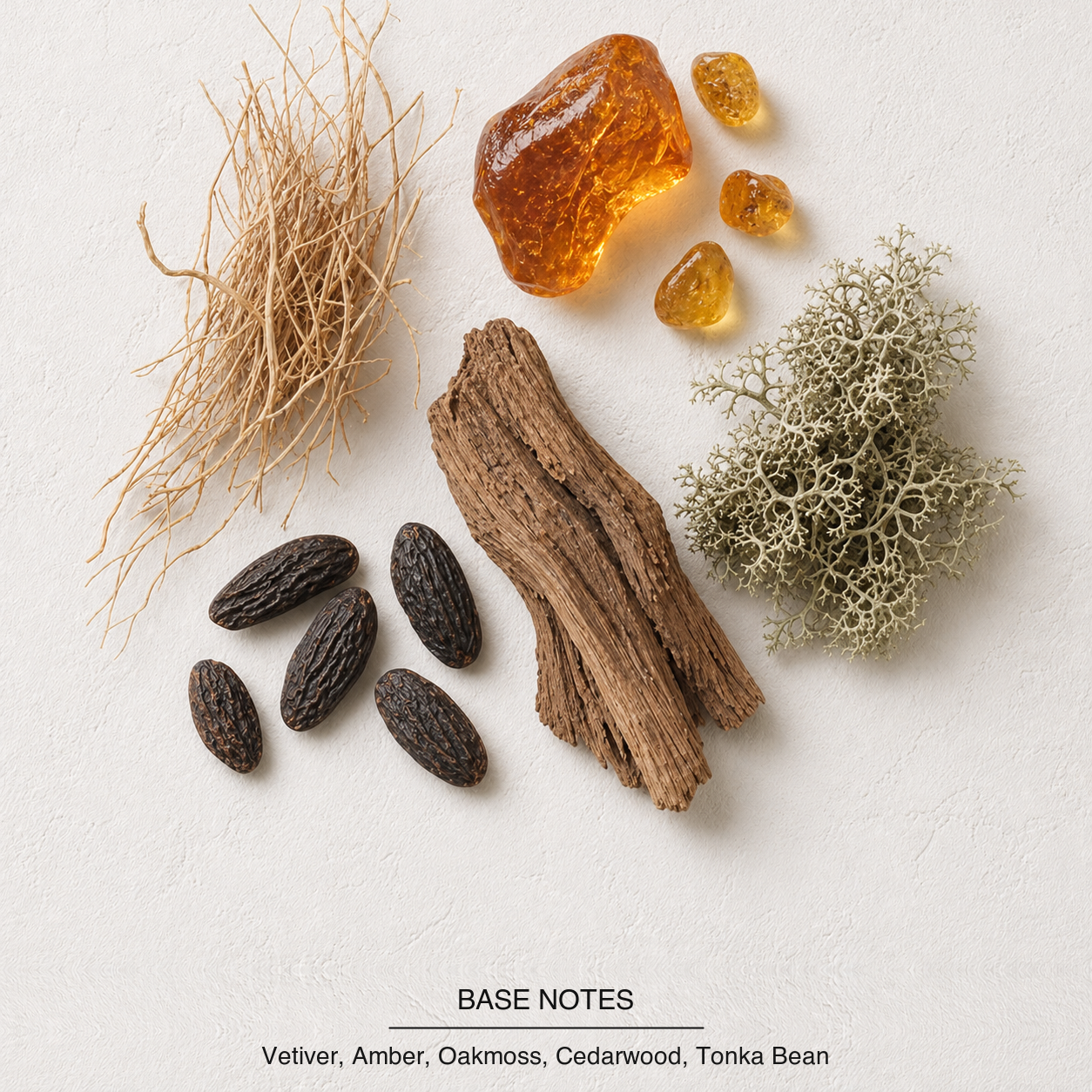 Grey Vetiver Eau de Parfum base-notes