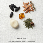 Y Eau de Parfum base-notes