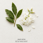 Invictus Eau de Toilette heart-notes