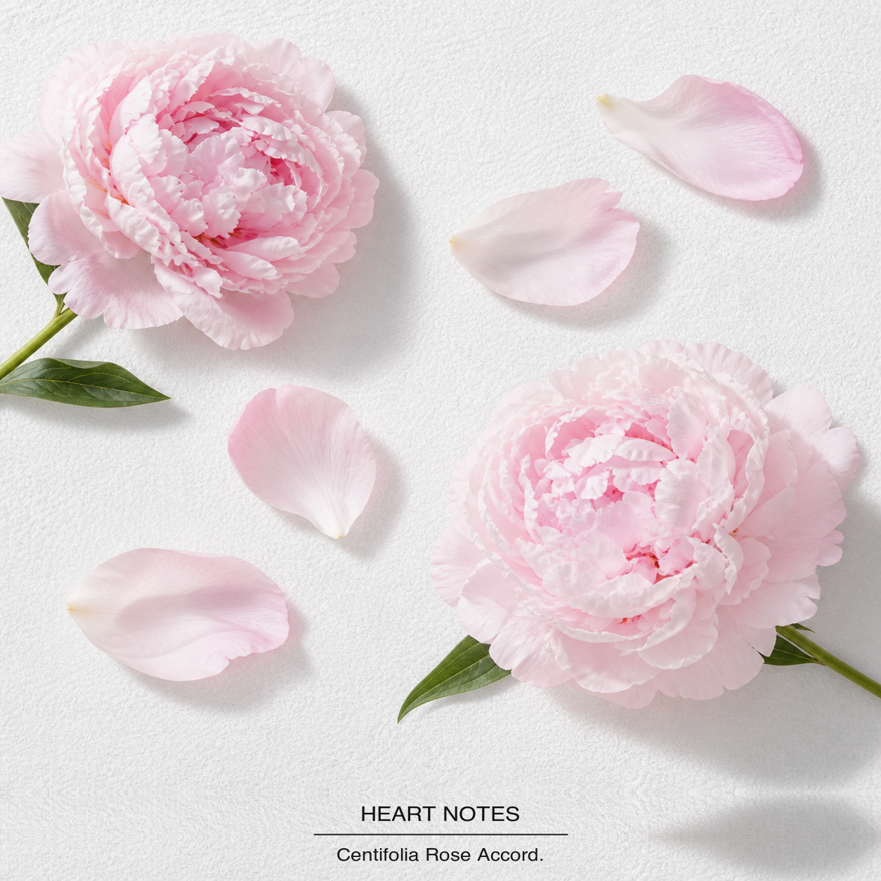 Flowerbomb Eau de Parfum heart-notes