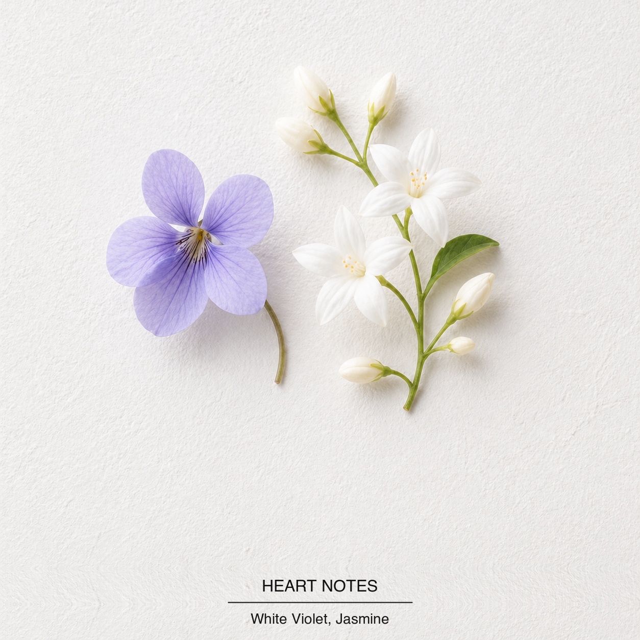 Daisy Eau de Toilette heart-notes