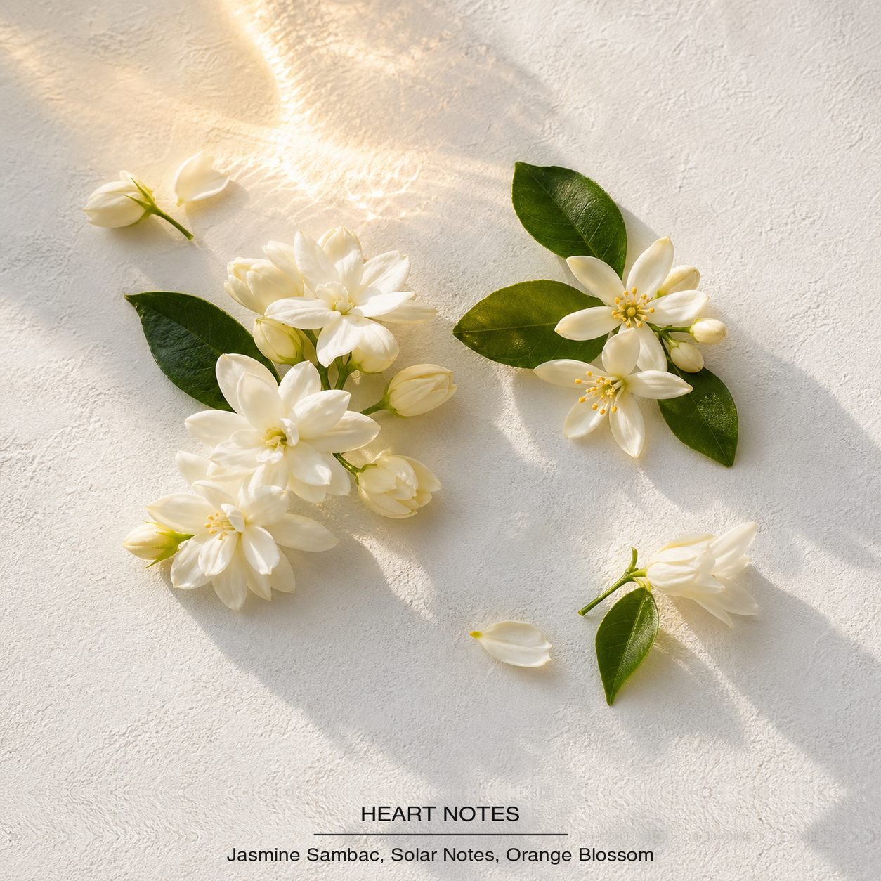 Black Opium Le Parfum heart-notes