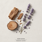 La Nuit de L'Homme Eau de Toilette heart-notes