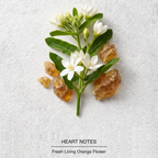 Libre Eau de Parfum heart-notes