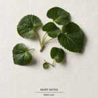 Green Irish Tweed Eau de Parfum heart-notes