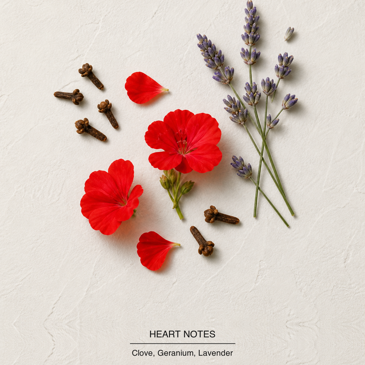 Boss Bottled Parfum heart-notes