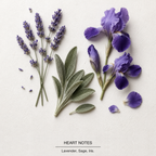 Stronger With You Intensely Eau de Parfum heart-notes