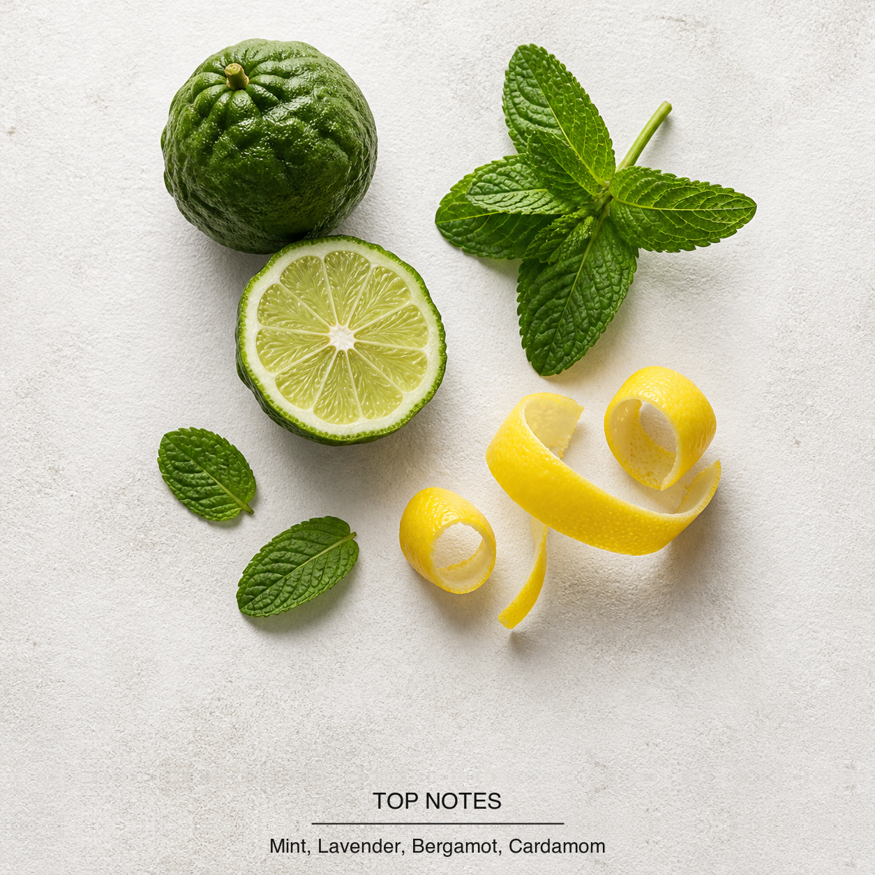 Le Male Eau de Toilette top-notes