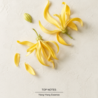 J'adore Eau de Parfum top-notes