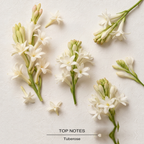 Gucci Bloom Eau de Parfum top-notes