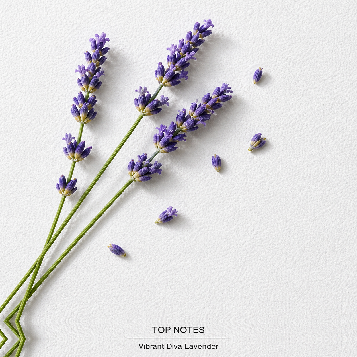 Libre Eau de Parfum top-notes