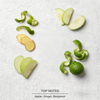 Y Eau de Parfum top-notes