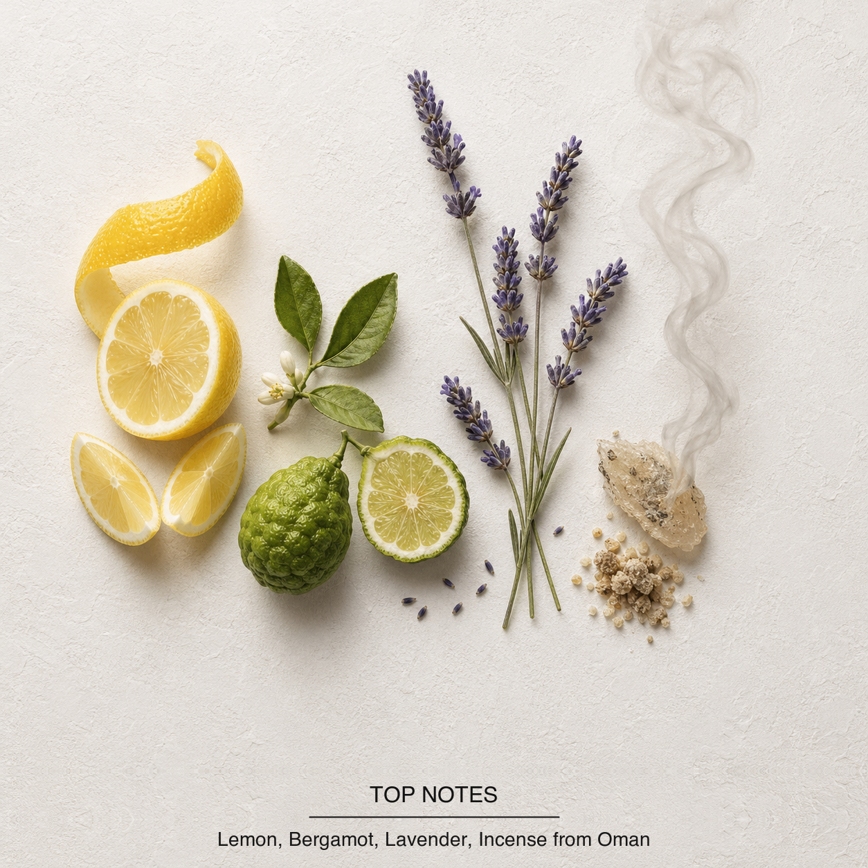 Xerjoff Naxos Eau de Parfum top-notes
