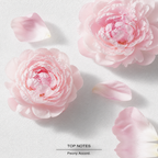 Flowerbomb Eau de Parfum top-notes