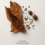 Tobacco Vanille Eau de Parfum top-notes