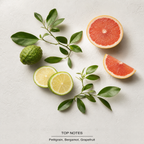 Le Labo Bergamote 22 Eau de Parfum top-notes