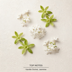Vanilla | 28 top-notes